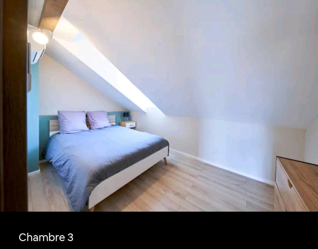 Loft Neuf Avec Bain Jacuzzi Et Terrasse Apartment Colmar Bagian luar foto